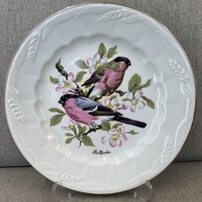 Royal Crownford Ironstone Falcon Ware Bullfinches Bird Decorative Plate 8"