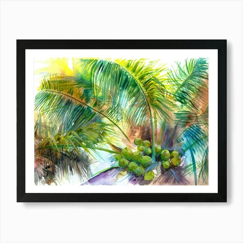Coconut palm tree watercolor - coconut,