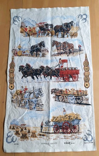 Lamont heavy shire - heavy, horses