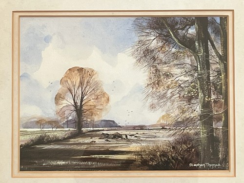 Stephen thomas british - -,