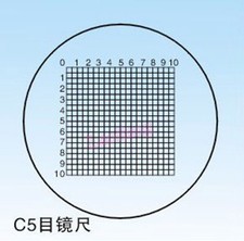 C5 Microscope Objective Stage