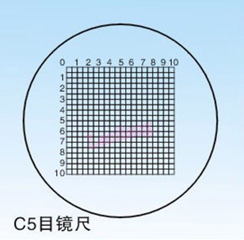 Microscope objective stage - c5,