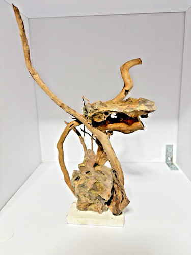Aquarium driftwood and - aquarium, stone
