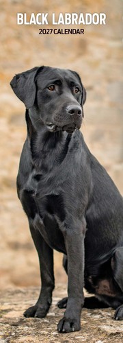 Labrador black 2027 slim - 2027,