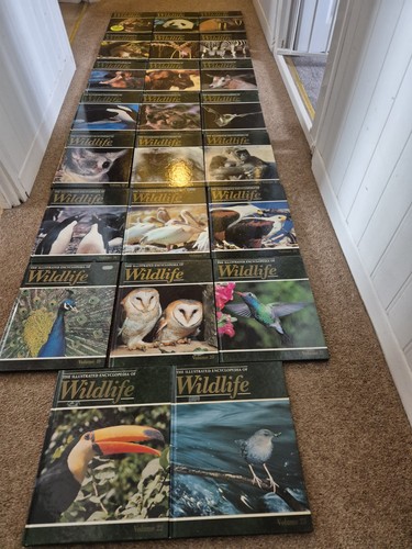 The illustrated encyclopedia - the,