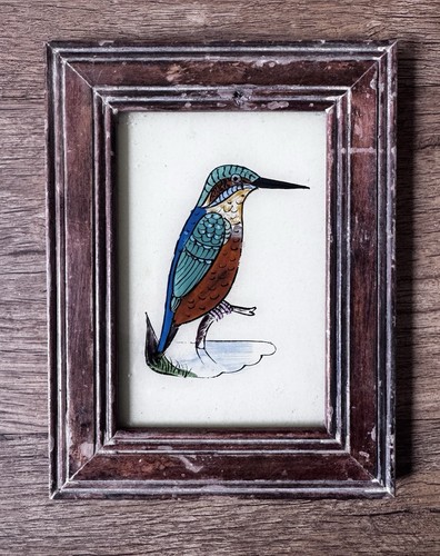 Indian kingfisher vintage - indian,