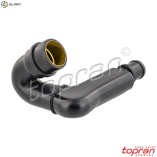 Hose cylinder head cover - cylinder,