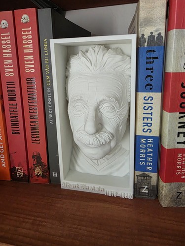 Albert einstein booknook - albert, 3d
