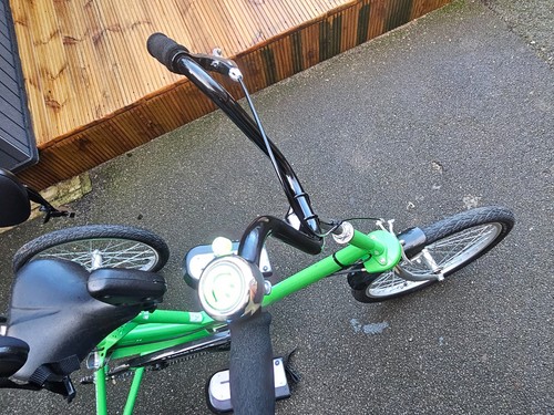 Tomcat trike for special needs - tomcat,