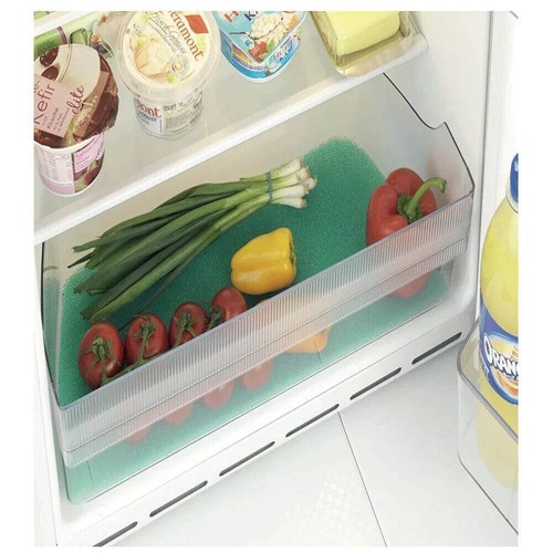 Stay fresh fridge - stay, prolongs