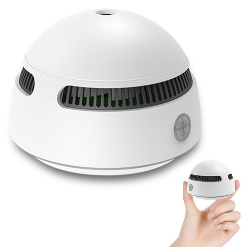 Smoke alarm with year - smoke,