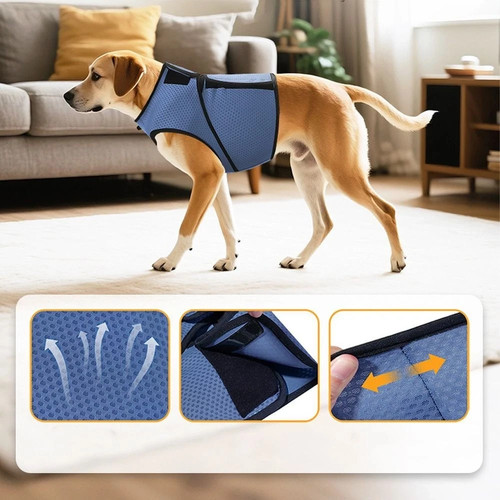 Dog anxiety jacket - anxiety,