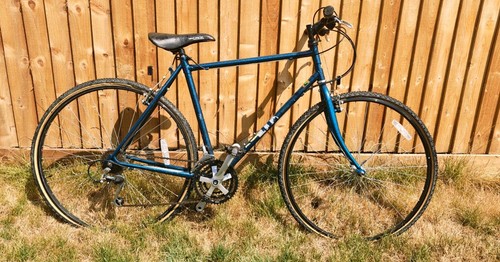 Vintage raleigh pioneer - raleigh, elite