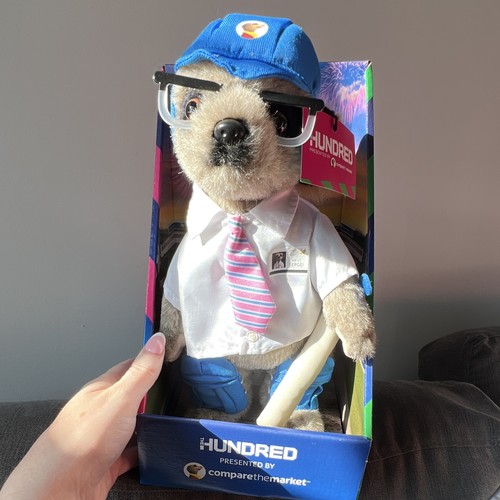 Compare the market - compare, sergei