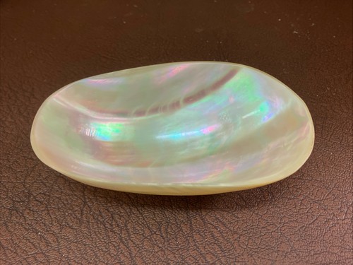 Mother pearl shell caviar - of,