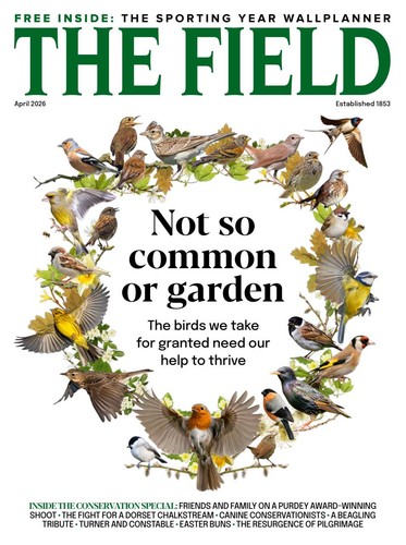 The field magazine - april, 2026