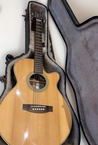 Takamine series eg260c - g,