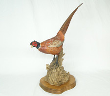 Wildtrack Wildlife art Scotland tail up Pheasant  by Alan B. Hayman Ltd. Edition