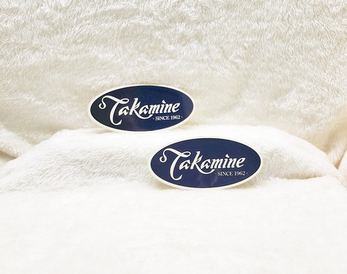Takamine guitar sticker - guitar, set