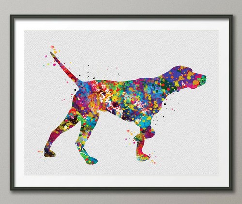 English pointer watercolor - english,