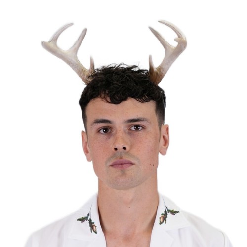 Stag antlers saltburn horns - stag,
