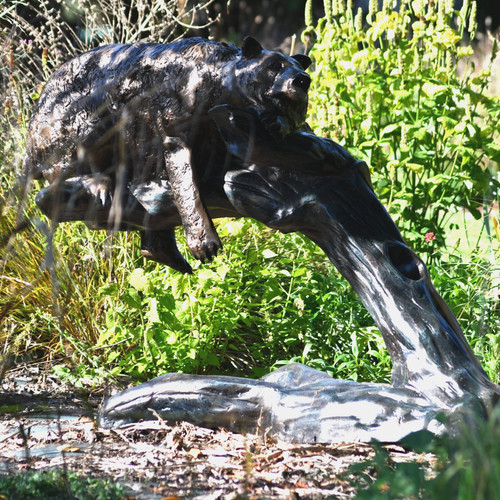Bear sleeping branch garden - sleeping, on