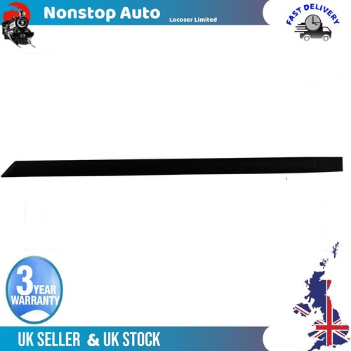 Rear door panel trim moulding - rear,