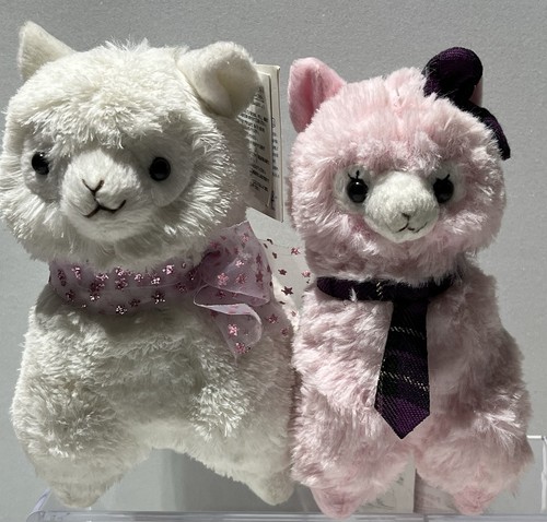 Arpakasso alpacasso amuse - arpakasso,