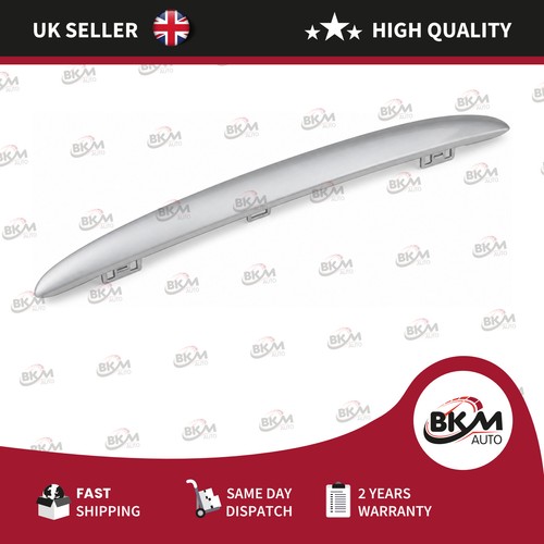 Rear tailgate moulding trim - moulding,