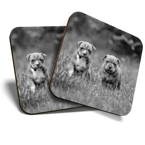 Coasters - x,
