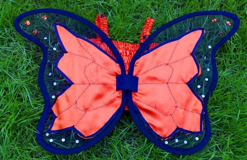 Adult butterfly dragonfly bat