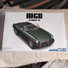Aoshima 1/24 The Model Car