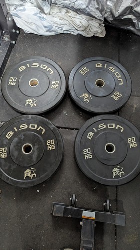 20kg bumper plates strength - plates,