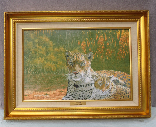 Large stephen gayford - gayford, framed
