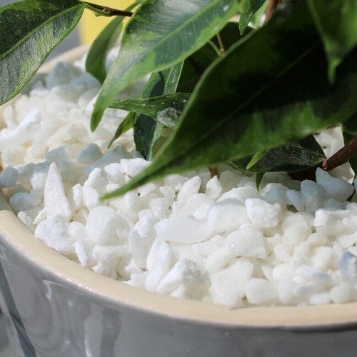 Decorative plant pot marble - plant,