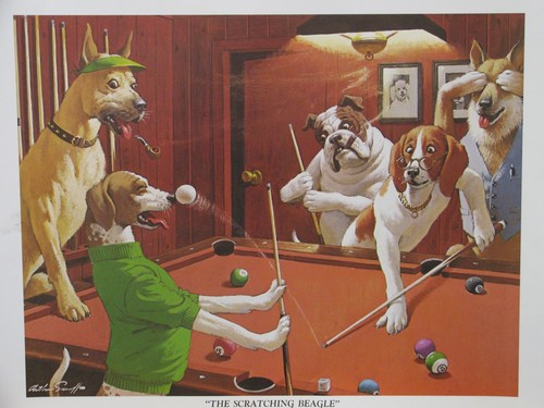 Best buds dogs playing pool - best,
