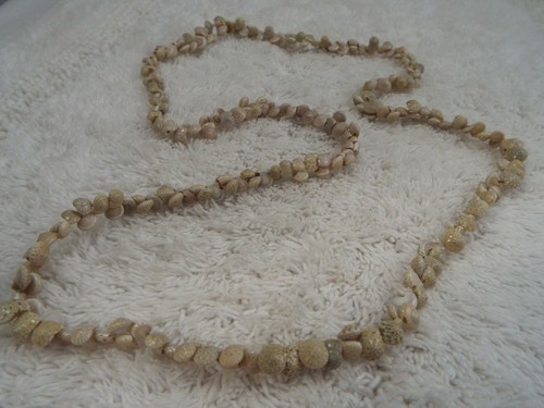 Mini sea shell necklace - mini, (d8)