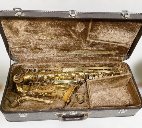 Yanagisawa alto saxophone - a-50,