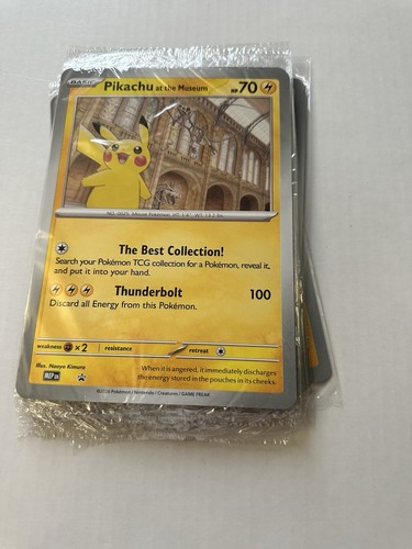 Pikachu the museum - pikachu,