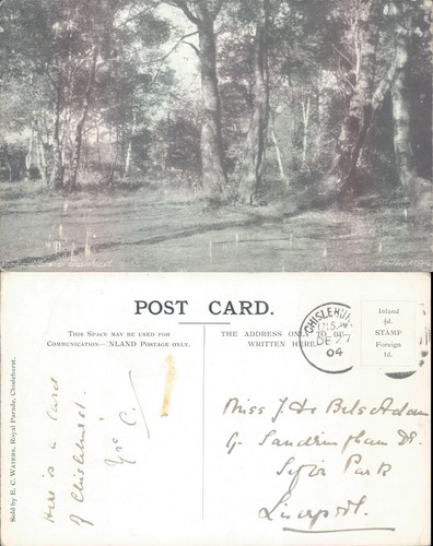 Woodland scene chislehurst - woodland, ec