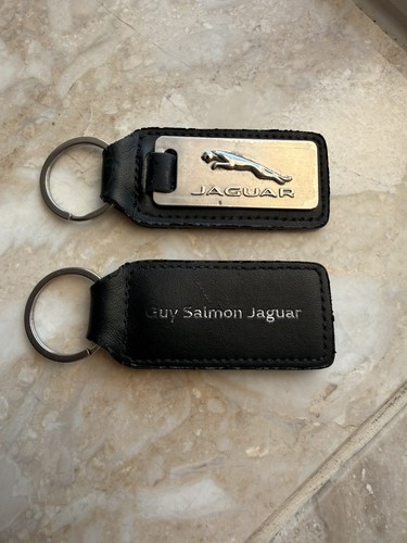 Genuine jaguar dealership - jaguar,