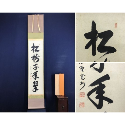 Japanese daitokuji kanshu pine - japanese,