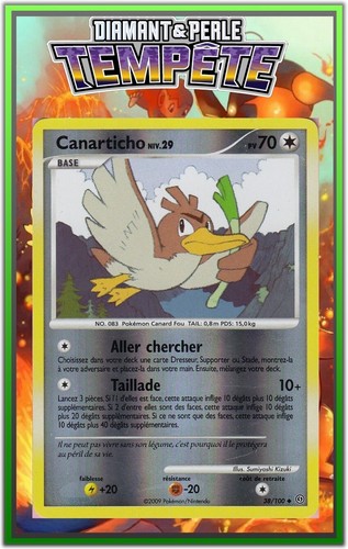 Canarticho reverse - reverse,