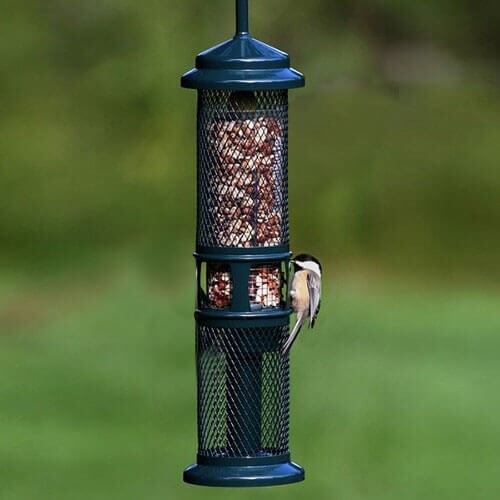 Brome squirrel buster peanut - buster,