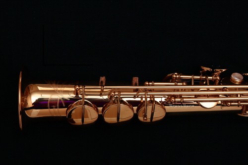 Brand new 2026 yanagisawa - new,