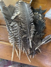 Turkey Feather Bundle 1