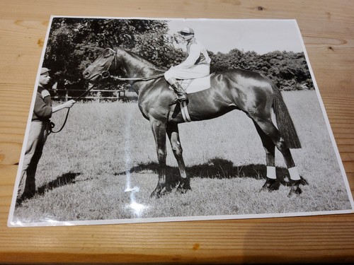 Black and white photo - photo, parthia