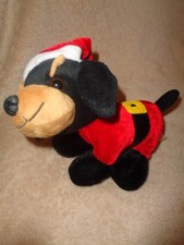 Dog Brown Black Doberman