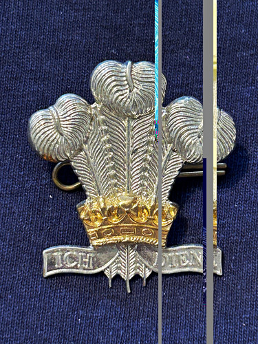 Royal wiltshire yeomanry - royal, metal