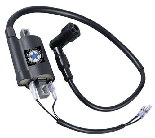 Ignition coil for - ignition,